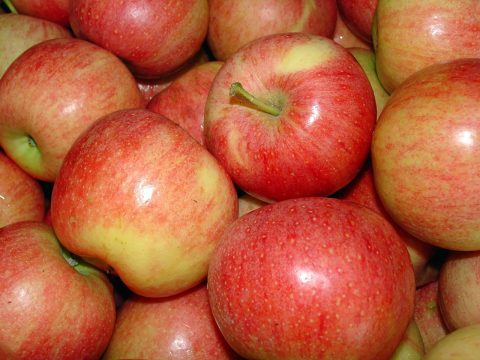 cascina-palazzo-brookfield-apples