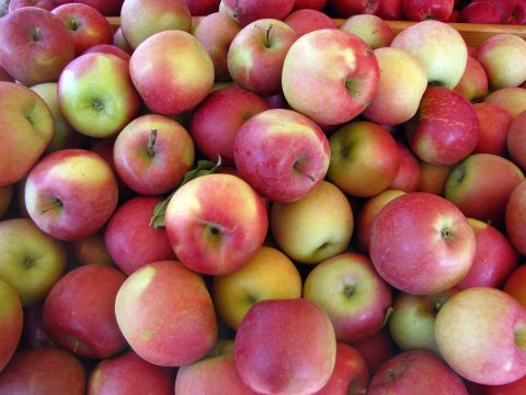 cascina-palazzo-fuji-apples