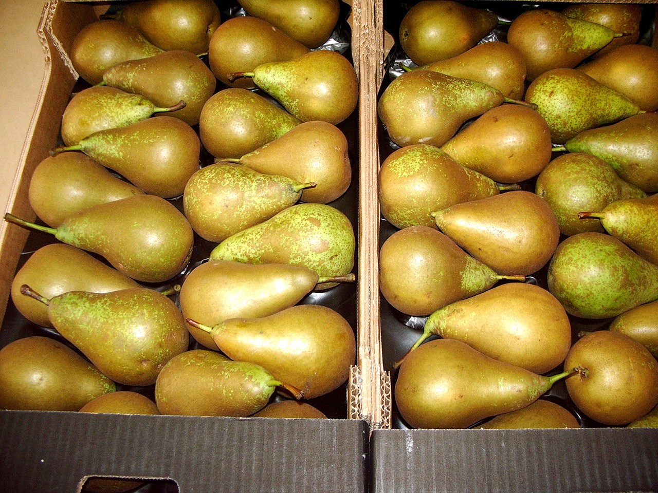 cascina-palazzo-conference-pears