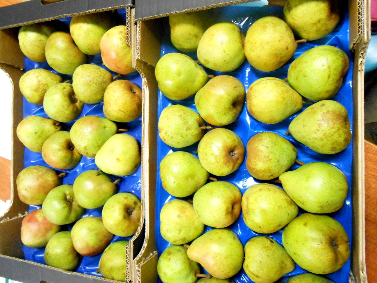 cascina-palazzo-decana-pears