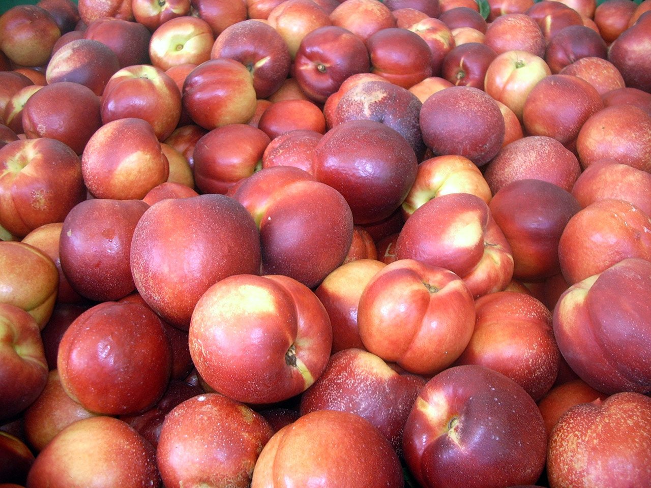 cascina-palazzo-alitop-nectarines-peaches
